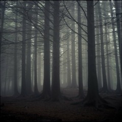 Ephemeral eternity (Interlude)