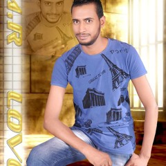زين العابدين ابومرعي الهواري