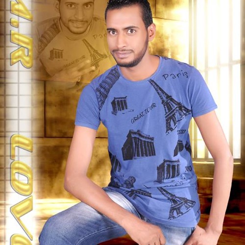 الشيخ طه ليلة السيد البدوى