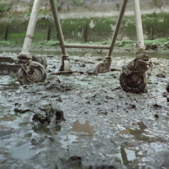 DarwinTrack - Bob004