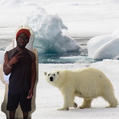 HNKY - Polar Bears (MacMan)