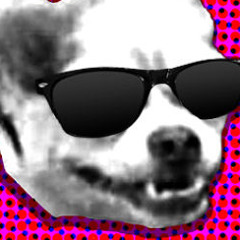 Rapper Dog 10k (Uncle Dane Preview)