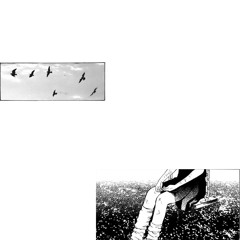 fly away