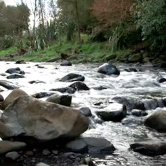 I Wanna Be from River Lavalle
