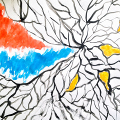 Turn Inside 15-07-12