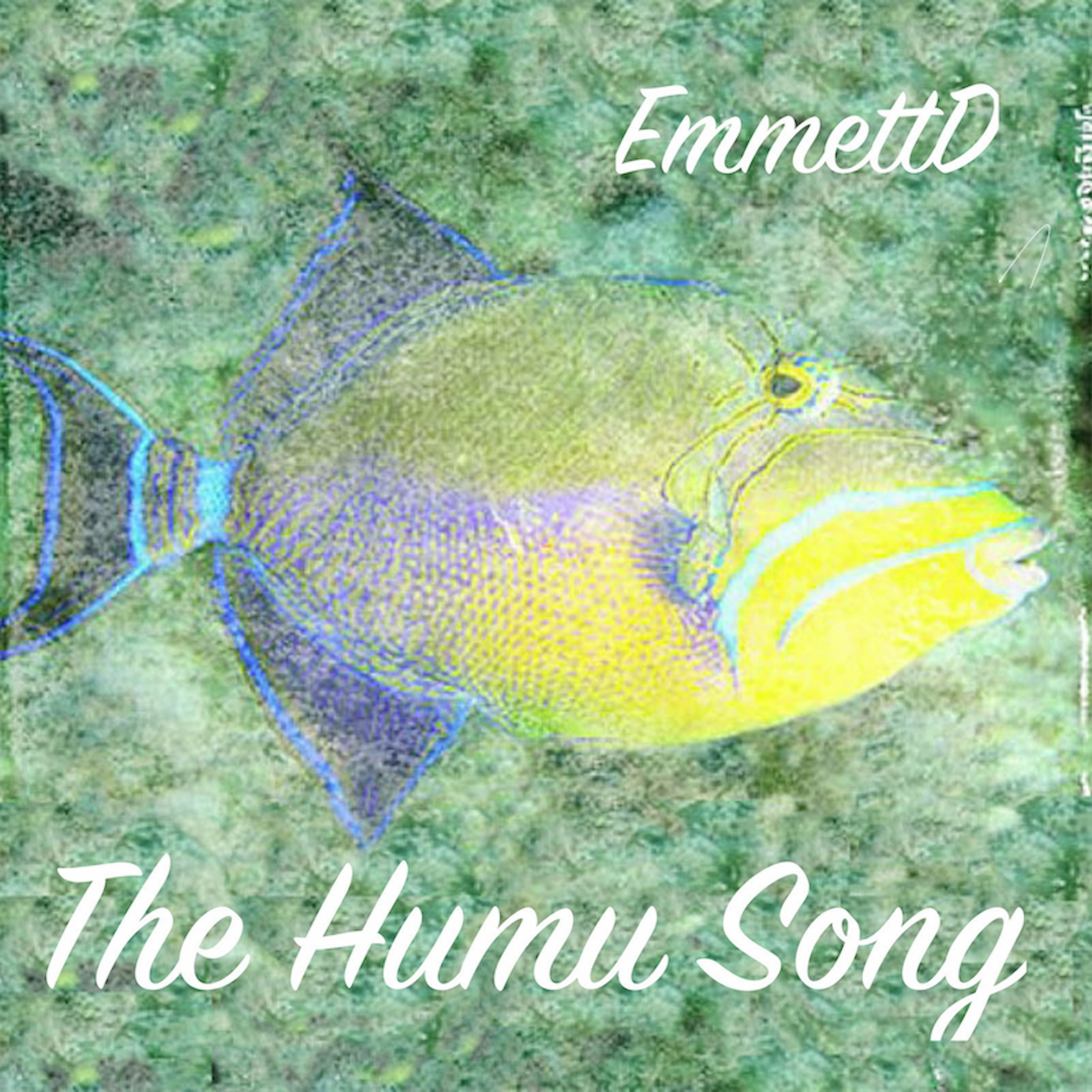 EmmettD