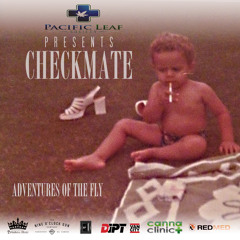 ADVENTURES OF THE FLY