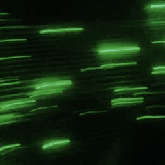 Matter Motion Snippet
