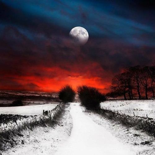 Luoi Quan Tam - KindyA