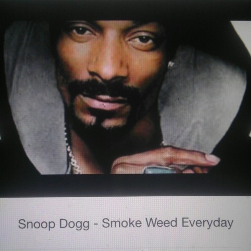 Stream Snoop Dogg Smoke Weed Everyday By Rvincent29 Listen Online