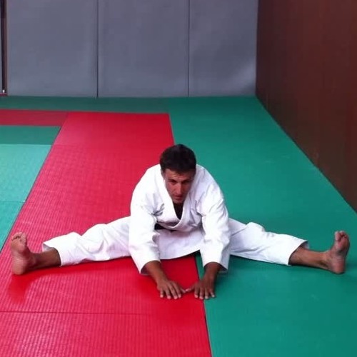 Etirements Comment Gagner En Souplesse Et En Force By Bruno Bandelier Karate