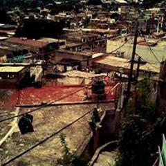 PURO SECTOR SEIS / COMANDO 33 .  MHASTALAM