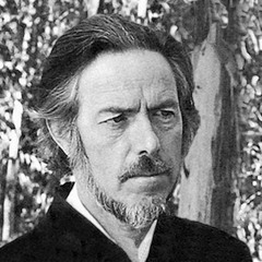 Alan Watts - Here And Now