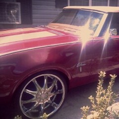 AintnoLoyalty masterd