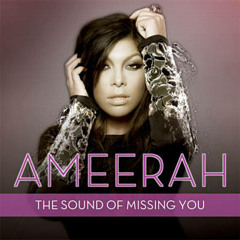 Wildboyz ft Ameerah - The Sound Of Missing You (Novik & Digital Wave Remix)[Teaser Only]