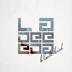 BLACK BIRD (Doruk Guralp Remix)