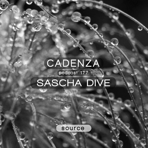 Cadenza Podcast | 177 - Sascha Dive (Source)