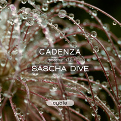 Cadenza Podcast | 177 - Sascha Dive (Cycle)