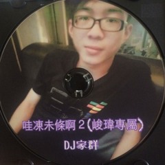 DJ家群 2015 哇凍未條啊2 (峻瑋專屬)
