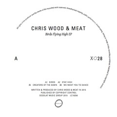 A1 - Chris Wood & Meat - Birds - DesolatX