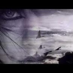 Danielle Licari - Concierto De Aranjuez Cantado - Joaquin Rodrigo