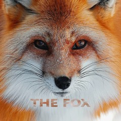 Lozz - The Fox (Original Mix) [FREE DOWNLOAD]