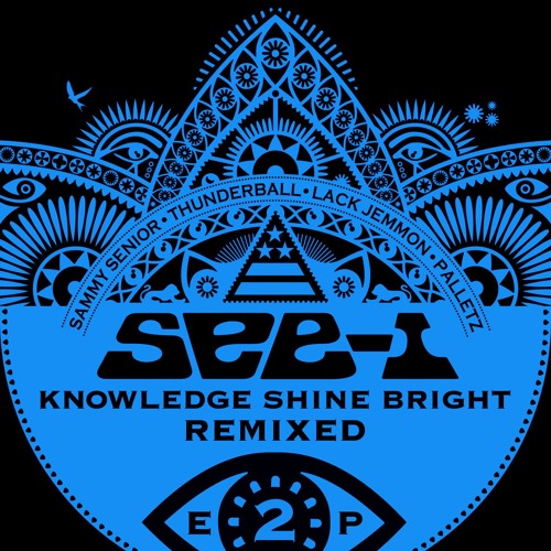 Never Give Up (Thunderball Remix)
