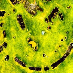 llDiorll.Hban (A Filter Essay for MIMF 2015)