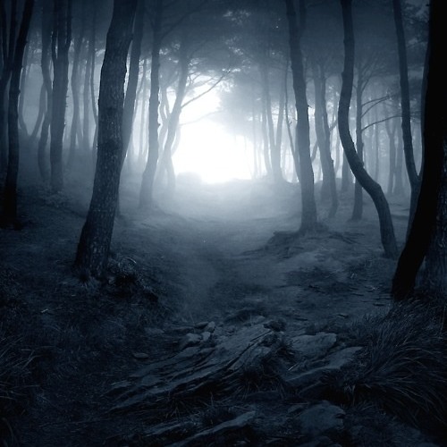 Paul Karma - Silent Night
