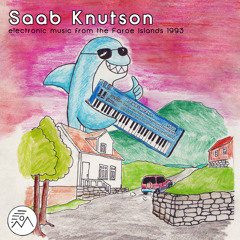Saab Knutson - Emotional Parameters