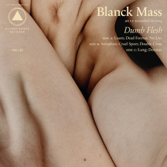 Blanck Mass – Dead Format (Dalhous Remix)