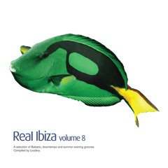 03 - Chris Coco - Albatross (Lenny Ibizarre Remix) CLIP