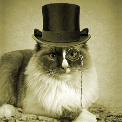 SiR