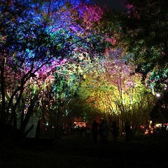 DARK DISCO - Road To Fusion festival -