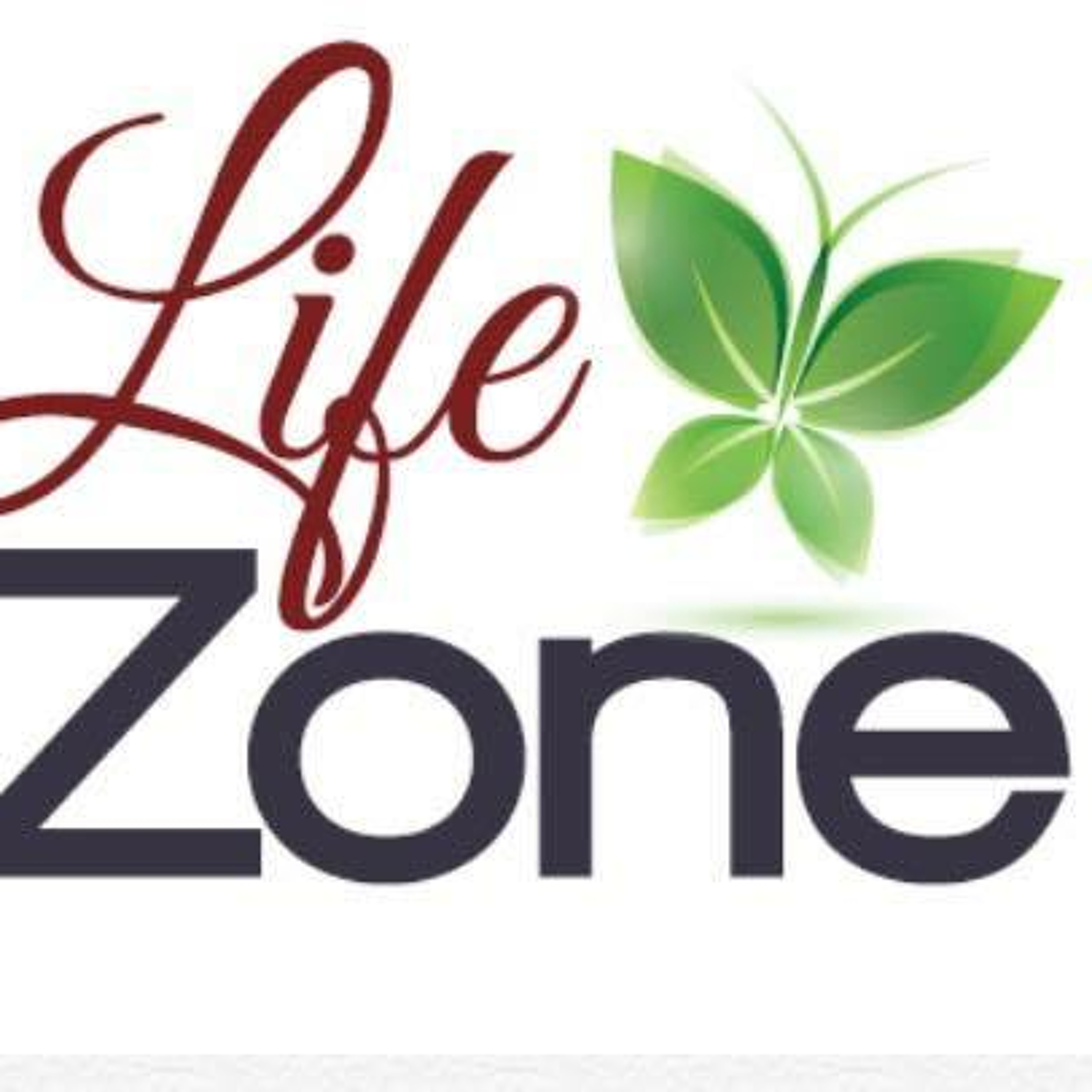 Life Zone services episode artwork