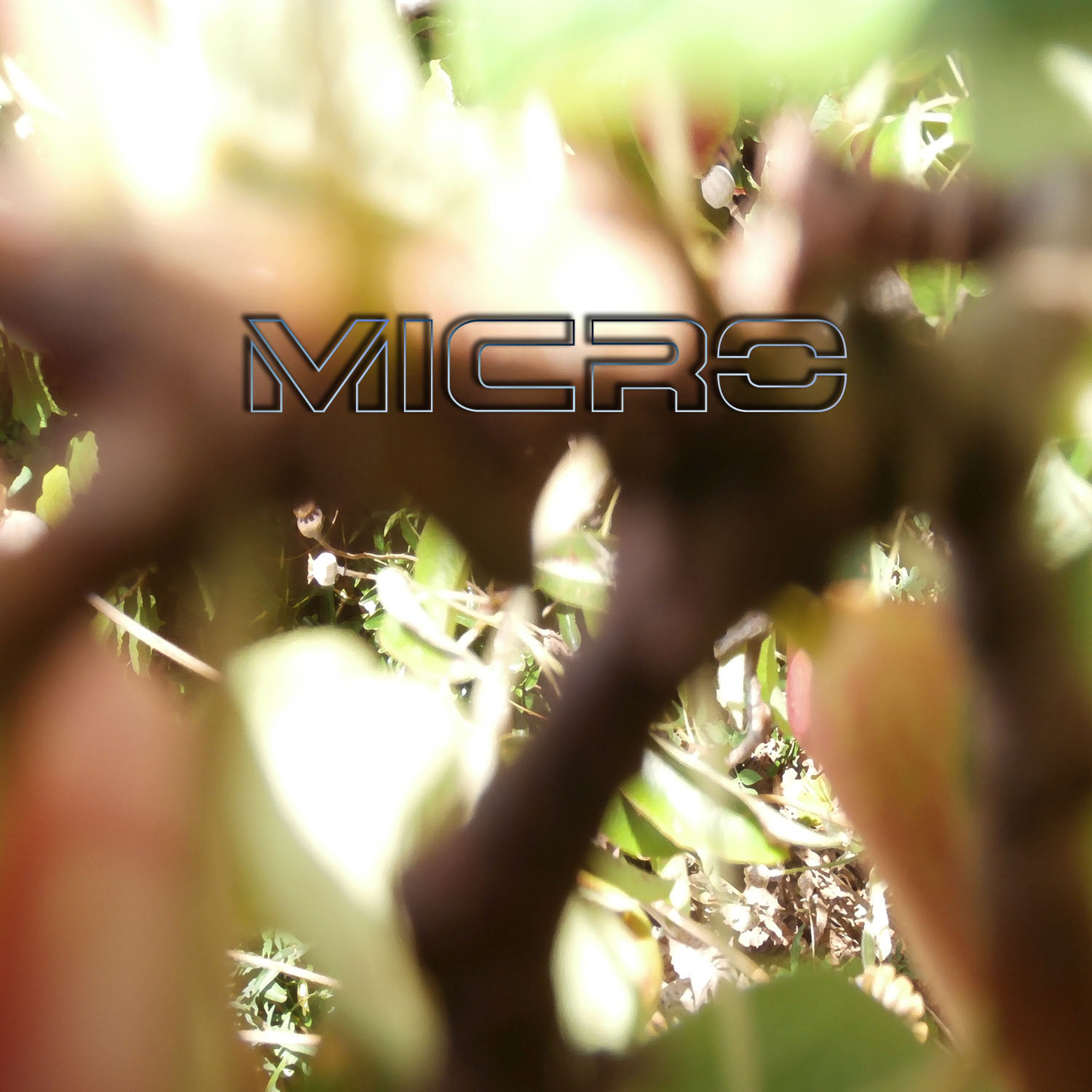 Micro (Instrumental) episode artwork