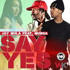 Jay Mula Ft Munga Honorable- Say Yes