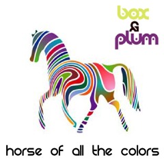 Horse Of All The Colors