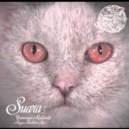 Teenage Mutants & Lars Moston - Magic (Original Mix)