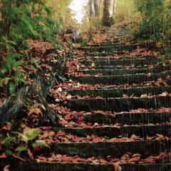 Chris Brown - Autumn Leaves (Cover)