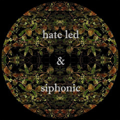 Magic Carpet featuring Siphonic