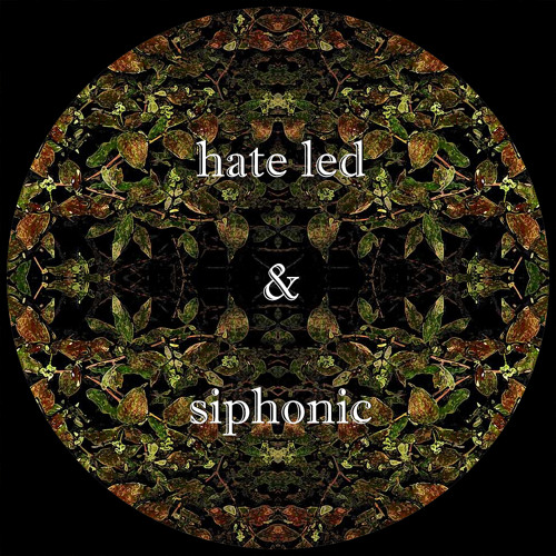 Magic Carpet featuring Siphonic