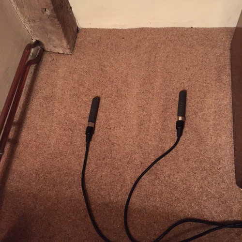 Wasps X27 Nest At Night Under Bedroom Floorboards By