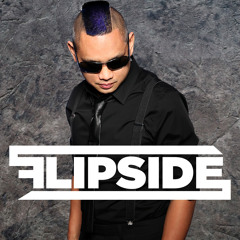 Flipside 4th of July Guest Mixes