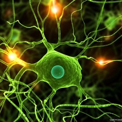 Biological (Joe's Studio Demo)