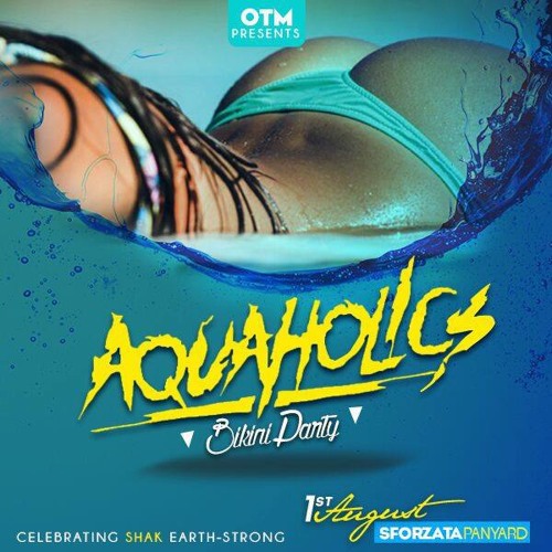 Aquaholics CD making