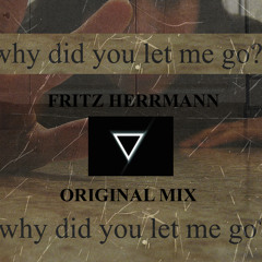 Fritz - Why Did You Let Me Go (Original Mix)