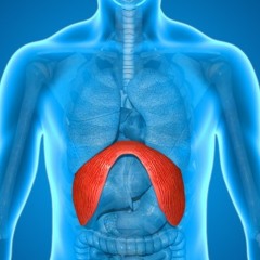 Diaphragmatic Breathing Exercise