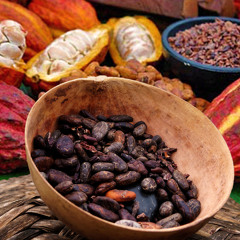 Cacao / Kakaw (Arnaldo Herrera)