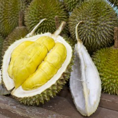 Durian Song